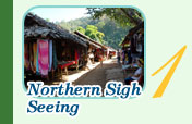 Northern Sigh Seeing