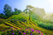 Pai Maehongson 2Days 1Night