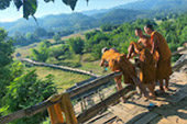 Pai Maehongson 2Days 1Night