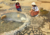 Buddhist Art of Temples in North