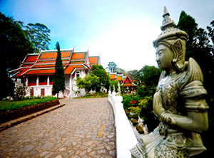 Chiang Mai Watching Trip : JC Tour Chiangmai