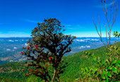 Chiang Mai Atmosphere