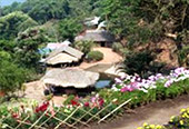 Doi Suthep Temple with Meo Hilltribe Village : JC Tour Chiangmai