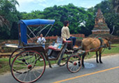 Edge of North: Chiangmai - Chiangrai