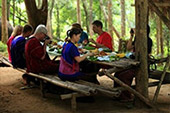 Elephant bath at the waterfall, and having safari picnic lunch : JC Tour Chiangmai