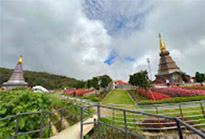 Hiking and Discovery Doi Inthanon