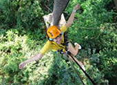 Jungle Flight Zip line