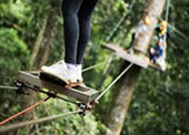 Jungle Flight Zip line