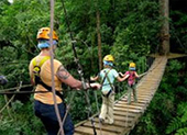 Jungle Flight Zip line