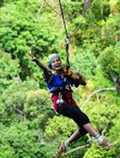 Jungle Flight Zip line