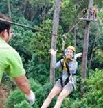 Jungle Flight Zip line