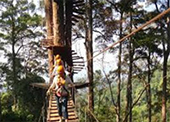 Jungle Flight Zip line