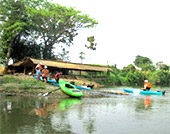 Chiang Down jungle river