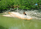 Chiang Down jungle river