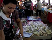 Pong Sanook Temple in Lampang : JC Tour