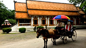 Horse Carriage is the signature of Lam-Pang Town : JC Tour