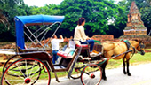 Horse Carriage is the signature of Lam-Pang Town : JC Tour