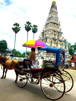 Lampang : JC Tour