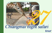 Night Safari Chiang-Mai
