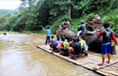 Elephant Safari and Long Neck : JC Tour