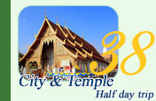 City and Temple Half Day Tour