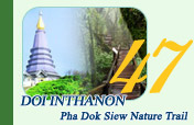 Doi Inthanon and Pha Dok Siew Nature Trail