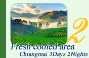 Chiang Mai Fresh Cooled Area