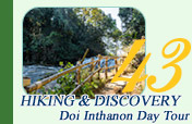 Hiking and Discovery Doi Inthanon