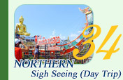 Northern Sigh Seeing