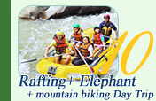 Rafting and Elephant Trekking and Mountain Biking