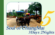 Soul of Chiangmai