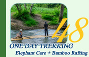 One Day Trekking, Elephant Care Join Tour