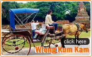 Wiang Kum Kam and Elephant Show and Orchid Farm