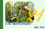 Zipline + Elephant + Rafting + Hill Tribe