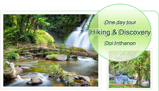 Hiking and Discovery Doi Inthanon