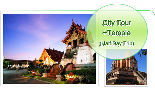 City and Temple Half Day Tour