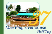 Mae Ping River Cruise