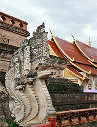 The Spirit of Chiang Mai : JC Tour