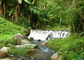 Thai Jungle Sport by JC Tour