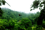 Thai Jungle Sport by JC Tour